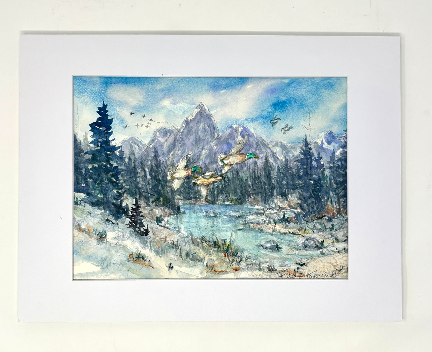 Fred Kingwill: Mallard Winter