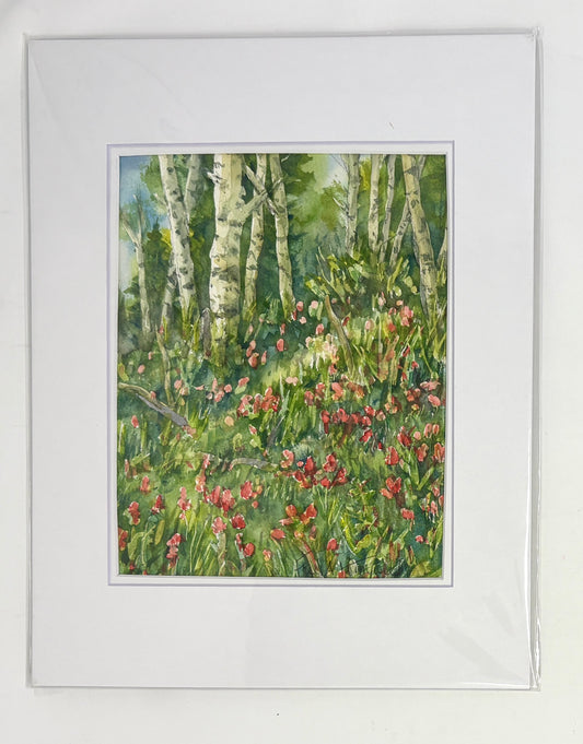 Fred Kingwill: Aspen / Paintbrush