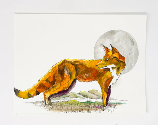 Steve Ehrlich: Fox Watercolors