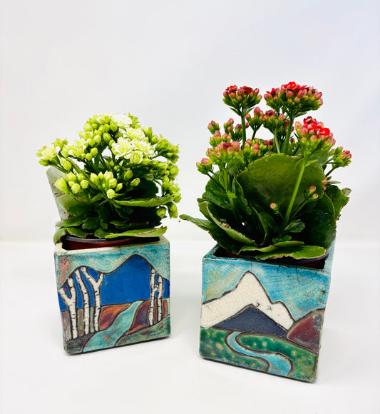 Emily Belsham Rakuscapes: Planters
