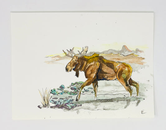 Steve Ehrlich: Moose Watercolors
