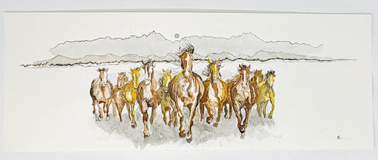 Steve Ehrlich: Band of Horses