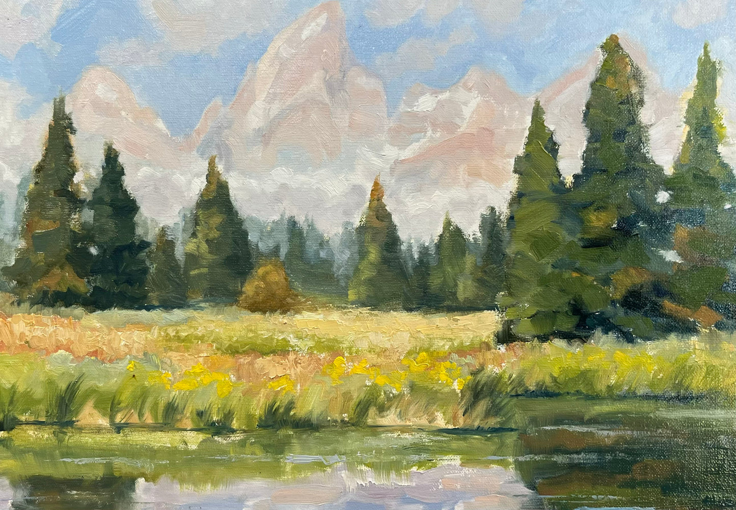 Andy Taylor: Schwabacher Landing (July)