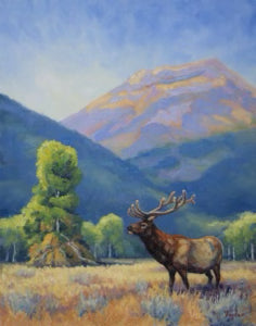 Andy Taylor: Summer Velvet