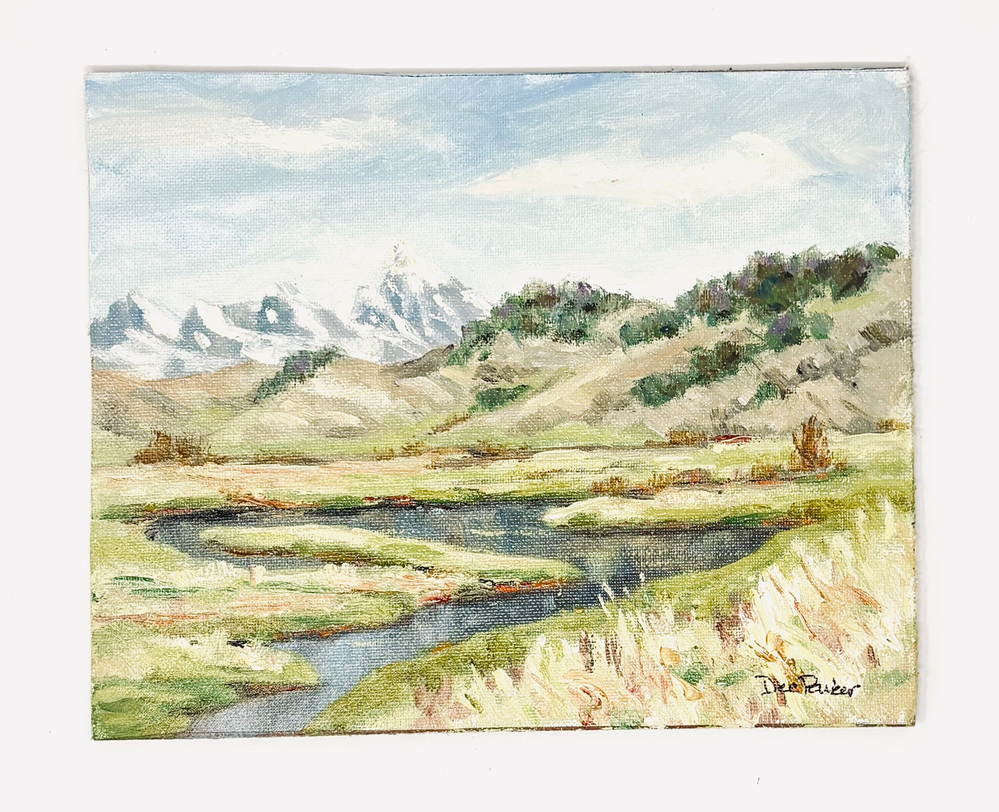 Dee Parker: Elk Refuge