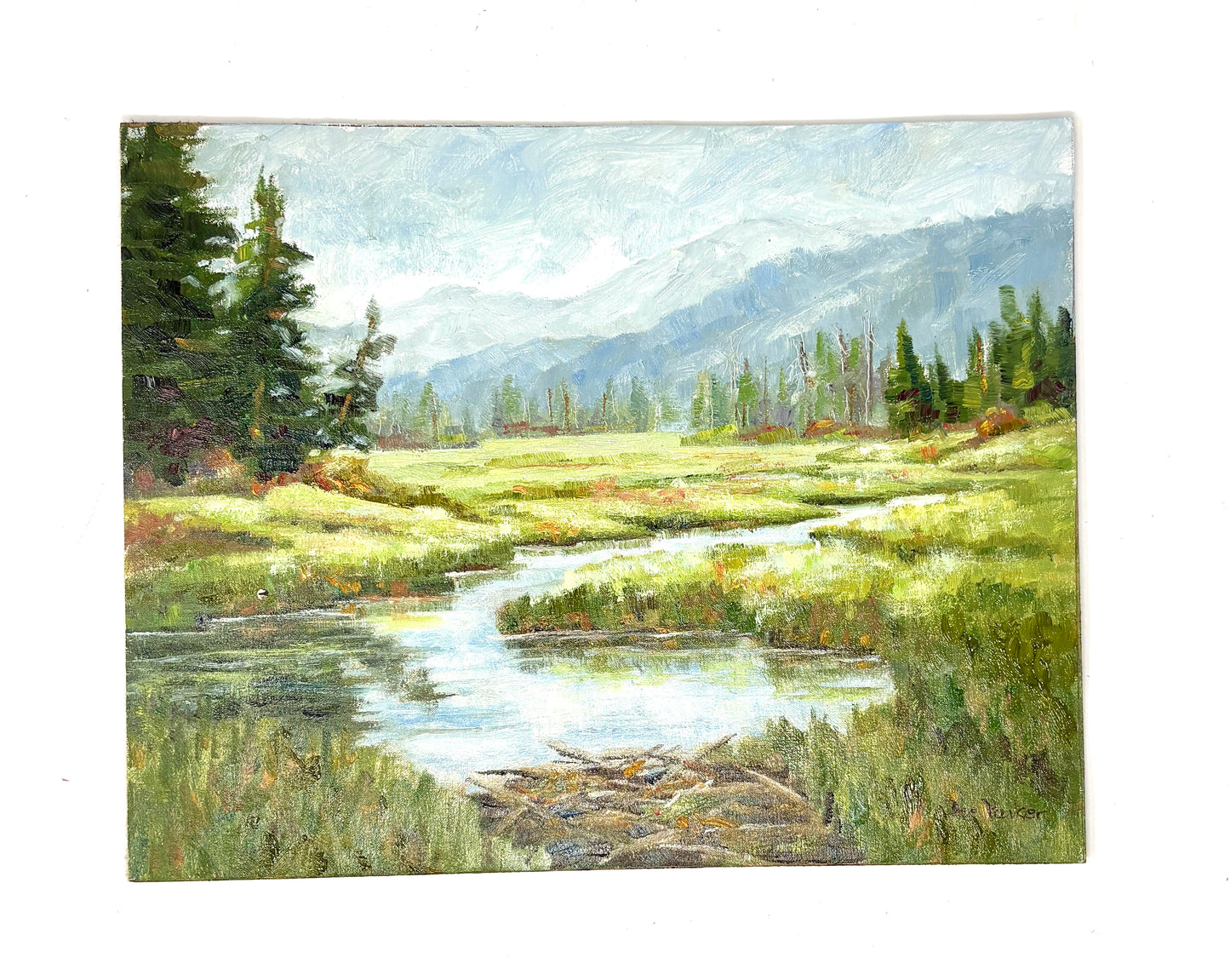 Dee Parker: High Fields