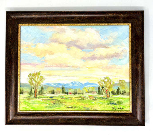 Dee Parker: Sleeping Indian (Framed)