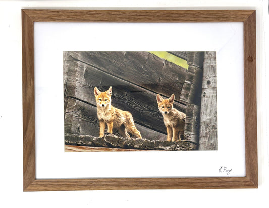 Rob Fiamengo: Guard Pups (Framed)