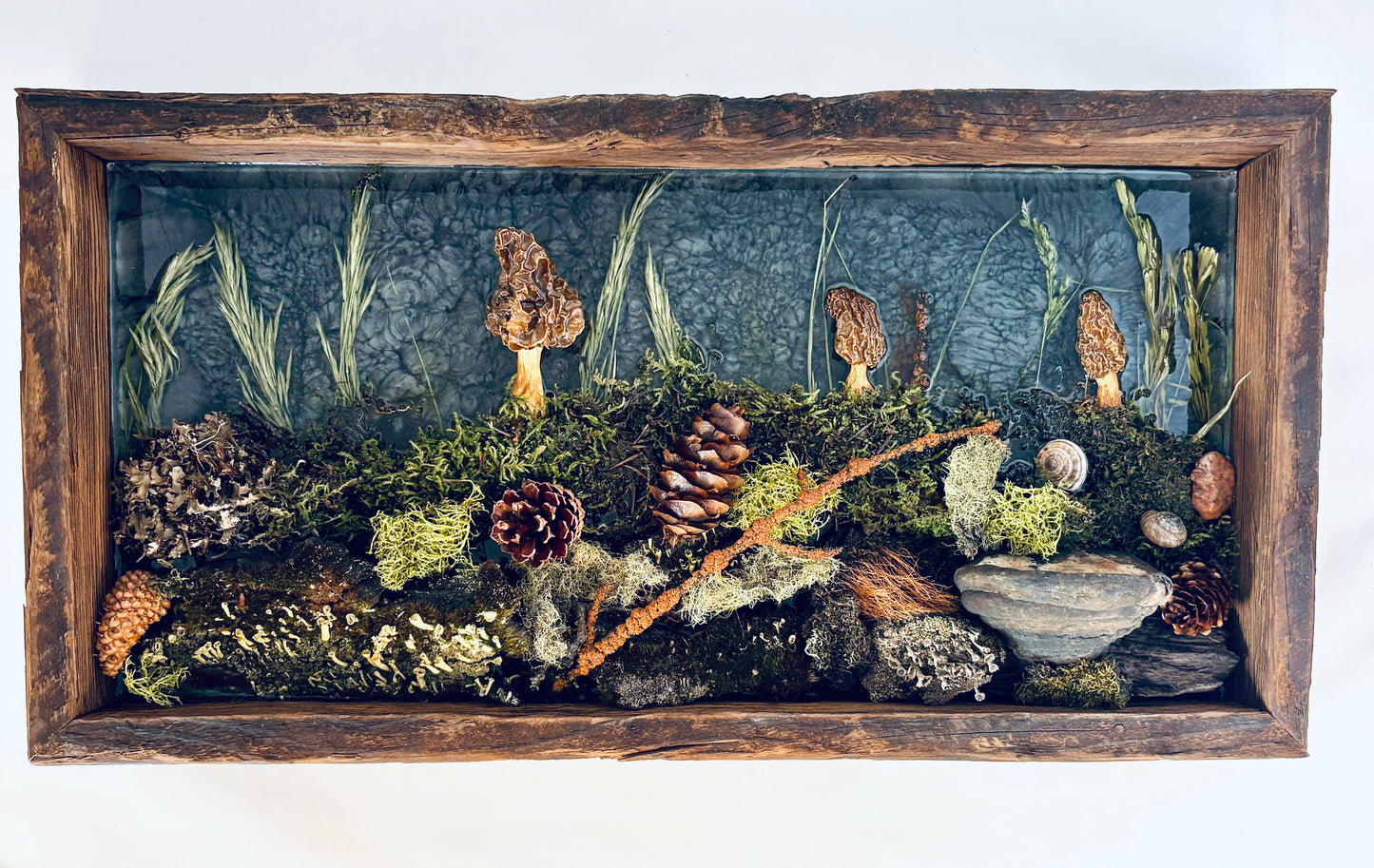 Julianna Lovasz: Grand Forest Floor