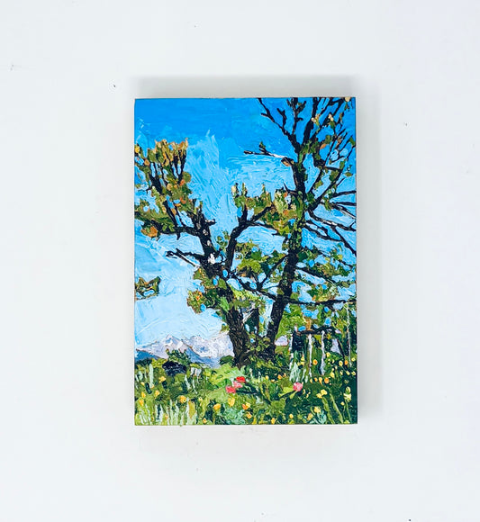 Richard Tambor: Marry Me! The Wedding Tree