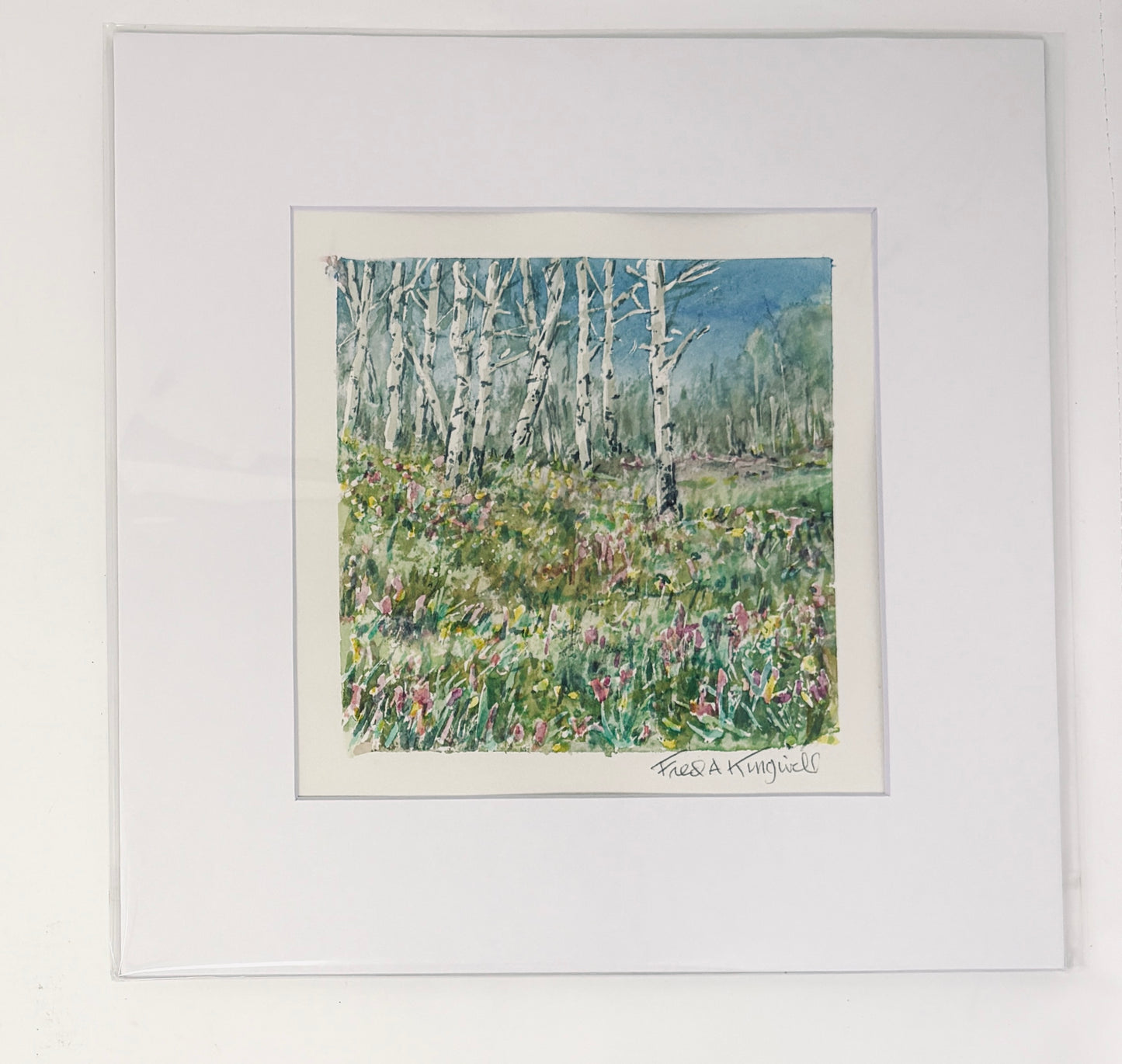Fred Kingwill: Aspens Spring