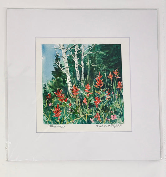 Fred Kingwill: Fireweed