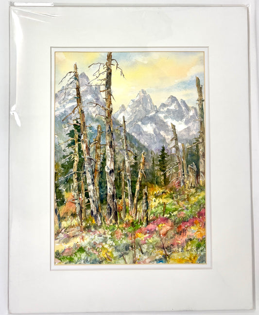 Fred Kingwill: Cathedral Tetons