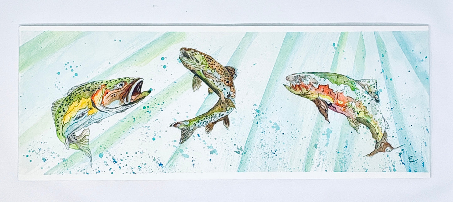 Steve Ehrlich: Trout Trio