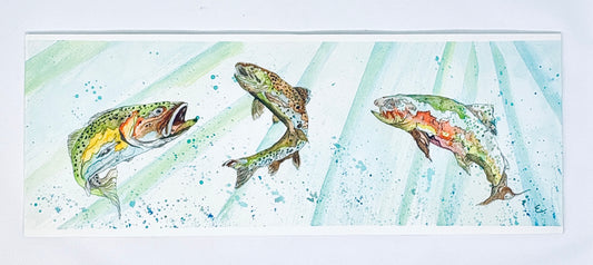 Steve Ehrlich: Trout Trio