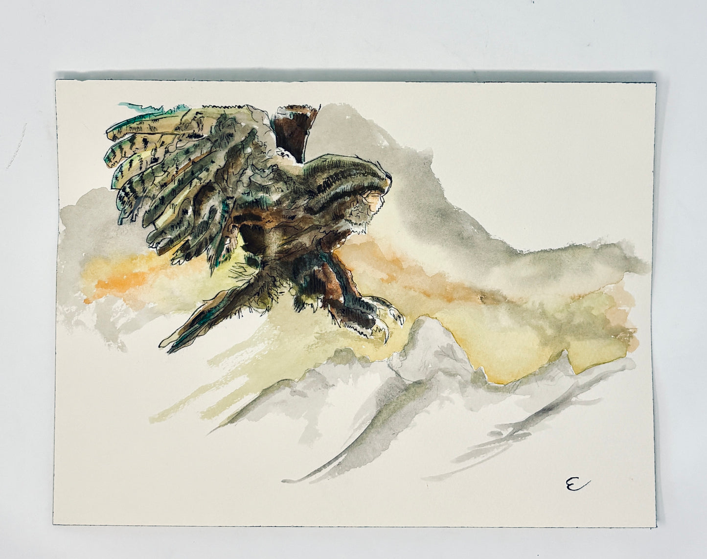 Steve Ehrlich: Bird and Raptor Watercolors