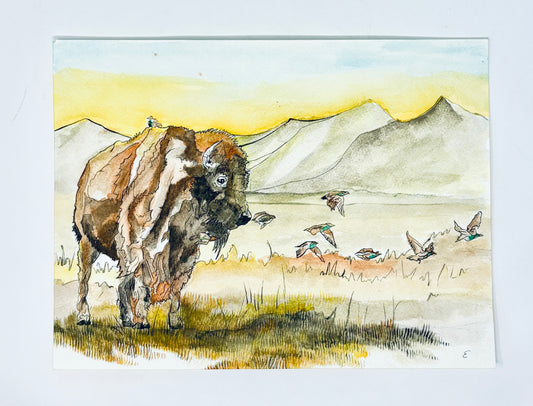Steve Ehrlich: Bison Watercolors