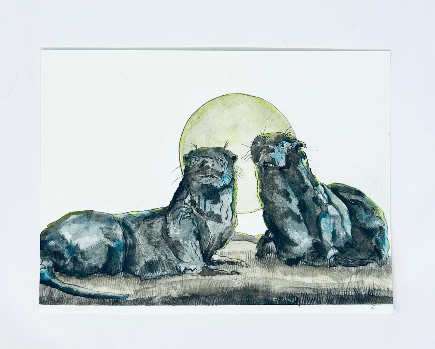 Steve Ehrlich: Otter Watercolors