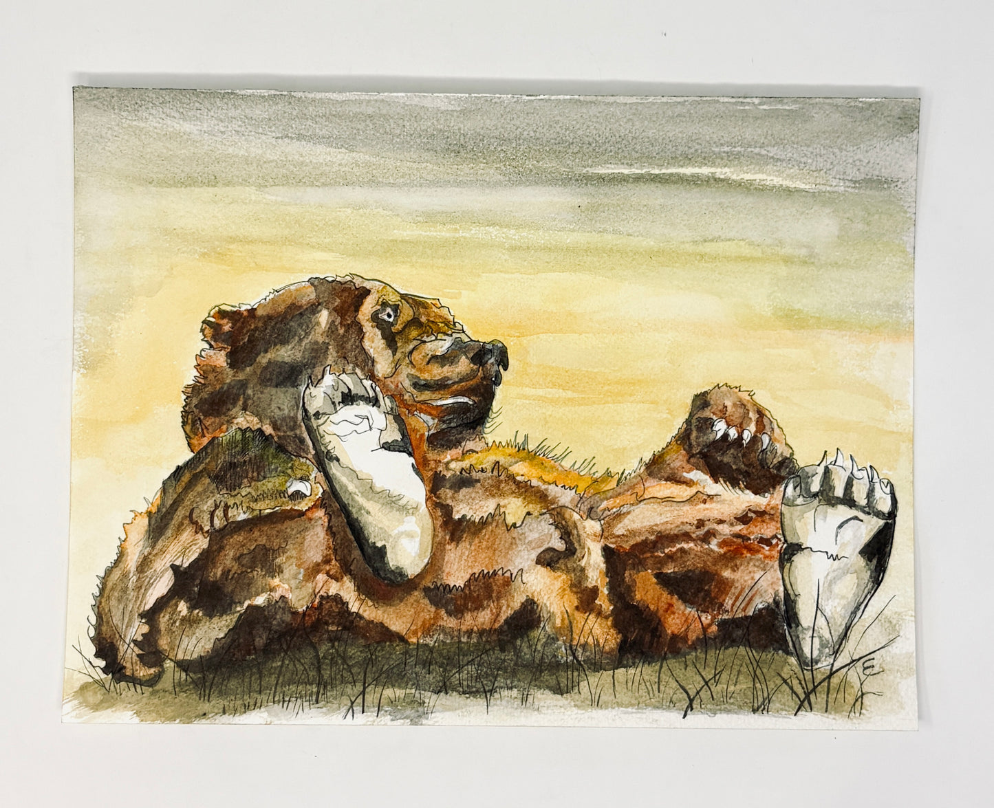 Steve Ehrlich: Bear Watercolors