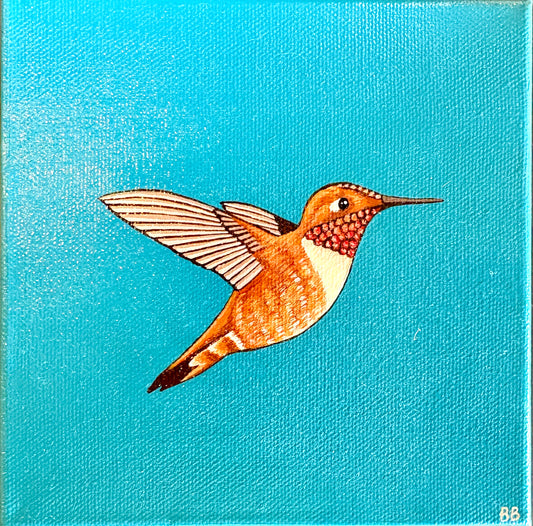 Becca Bouley: Teal Rufous
