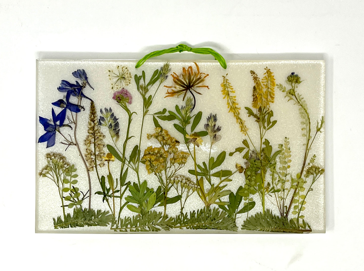Julianna Lovasz: Flat Rectangular Flower