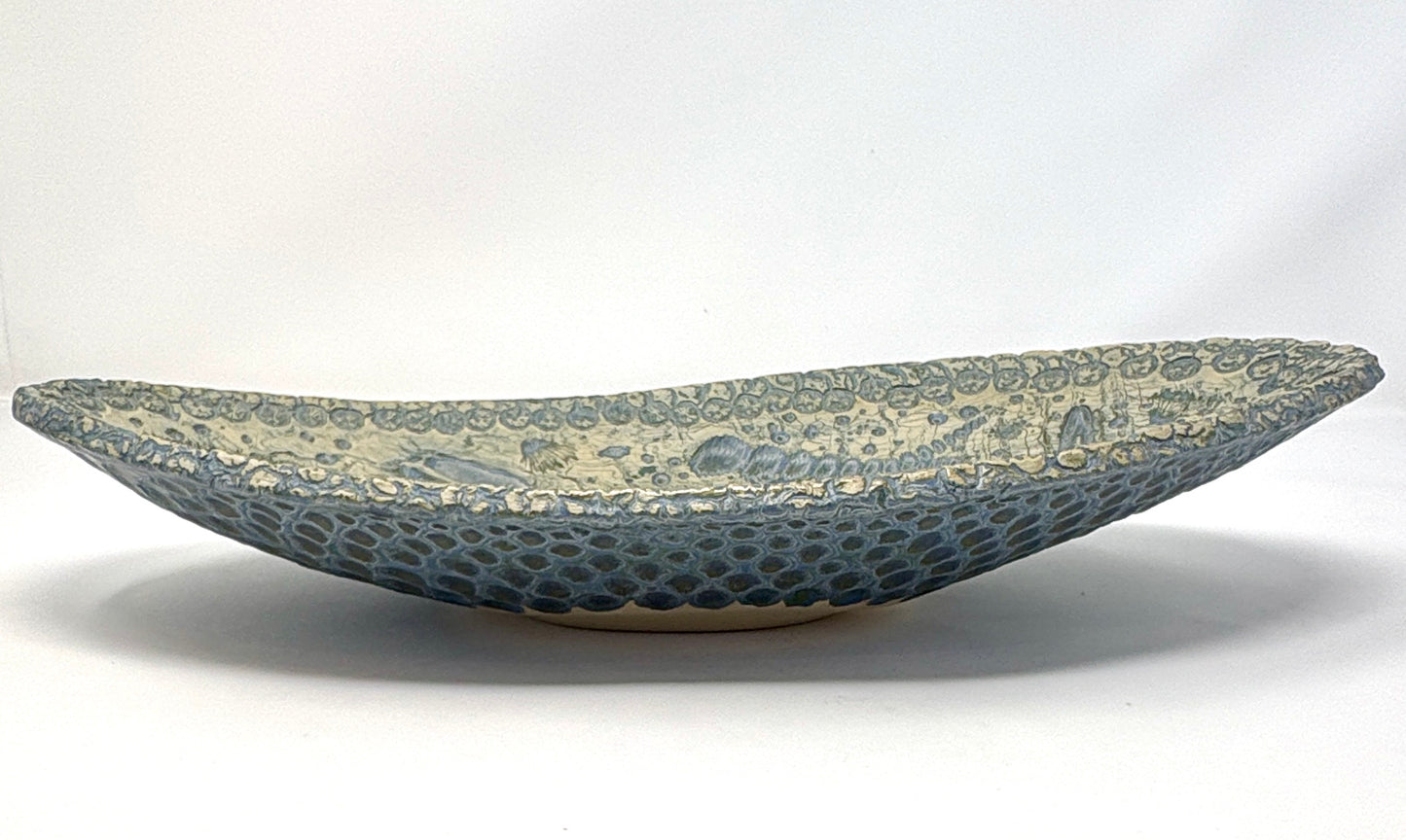 Valerie Seaberg: Small Origins Fossil Elliptical Server
