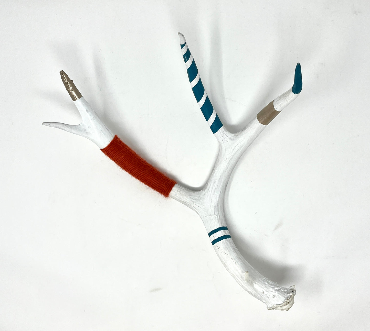 Kevin Rauch-Lynch: Large Mule Deer Antlers