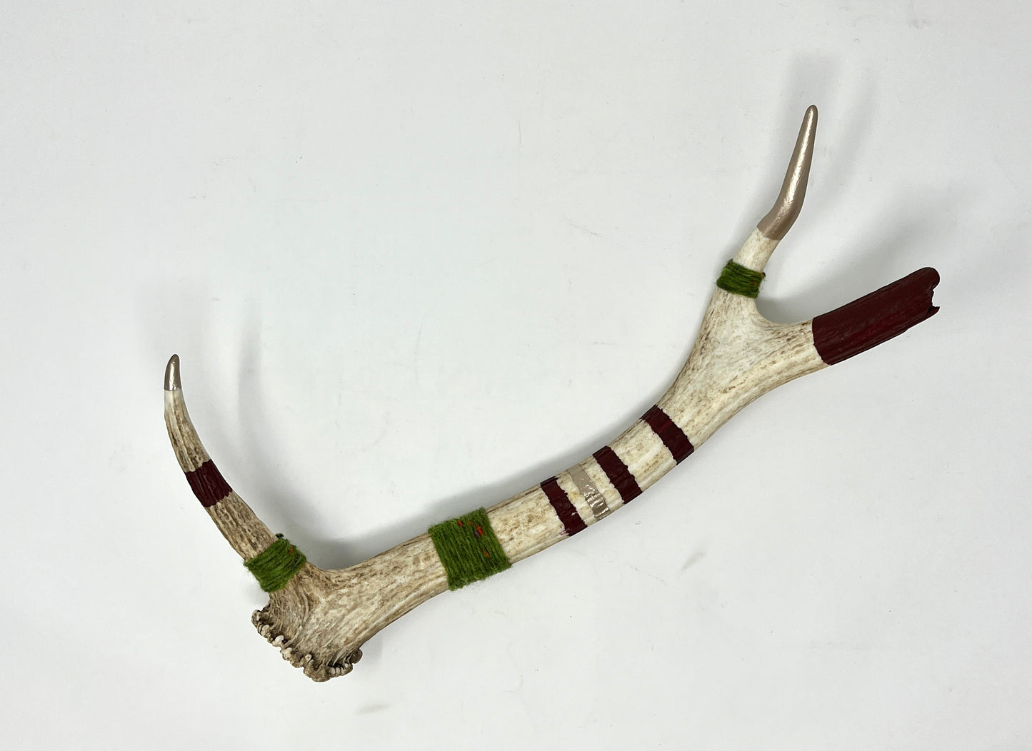 Kevin Rauch-Lynch: Large Elk Antler