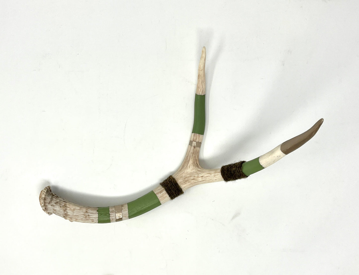 Kevin Rauch-Lynch: Large Mule Deer Antlers