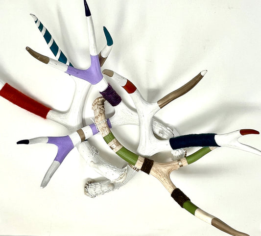 Kevin Rauch-Lynch: Mule Deer Antler
