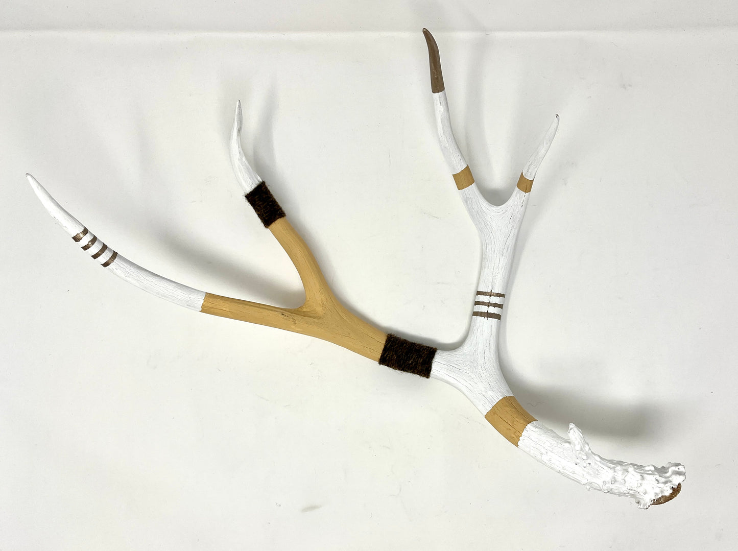Kevin Rauch-Lynch: XLarge Mull Deer Antler