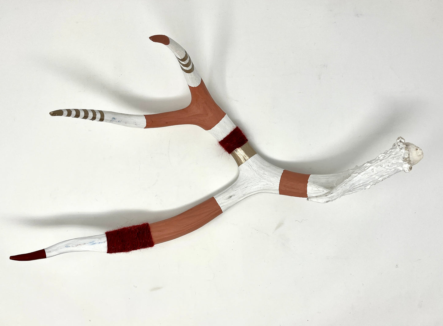 Kevin Rauch-Lynch: XLarge Mull Deer Antler