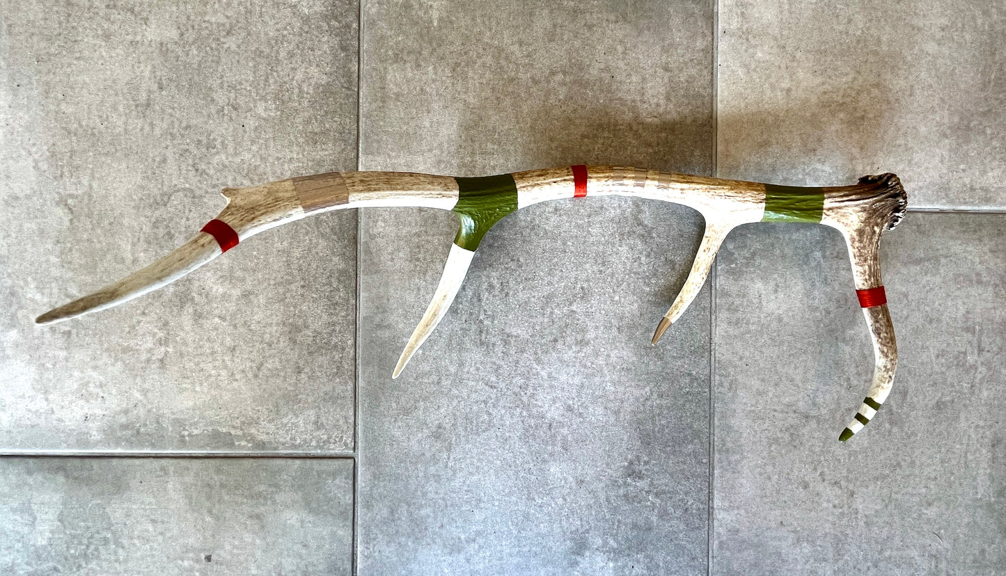 Kevin Rauch-Lynch: XLarge Elk Antler