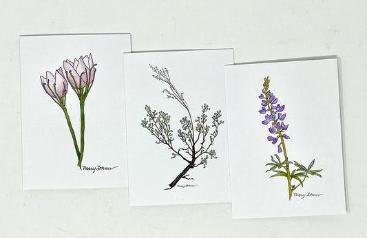 Mary Lohuis: Jackson Hole Collection Notecards