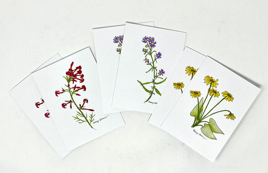 Mary Lohuis: Summer Wildflowers of Jackson Hole Notecards