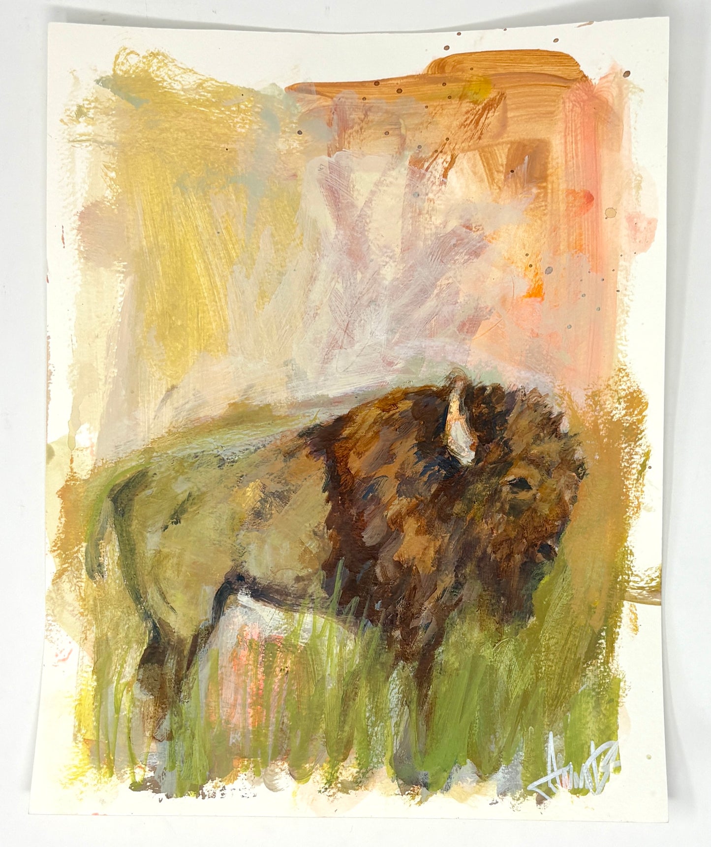 Anna Douglas Smith: Home on the Range