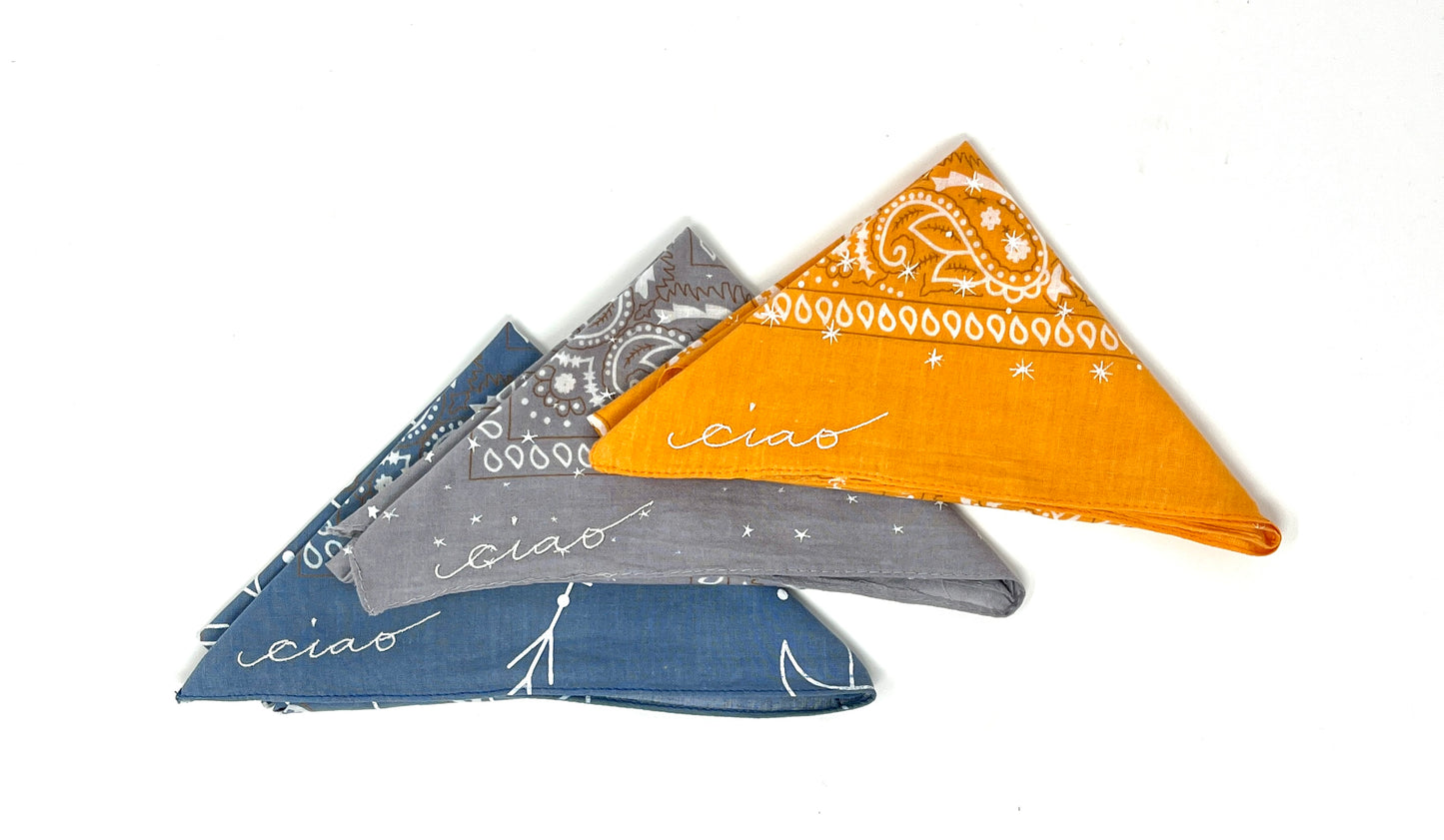 Lisa Walker: Embroidered Bandana
