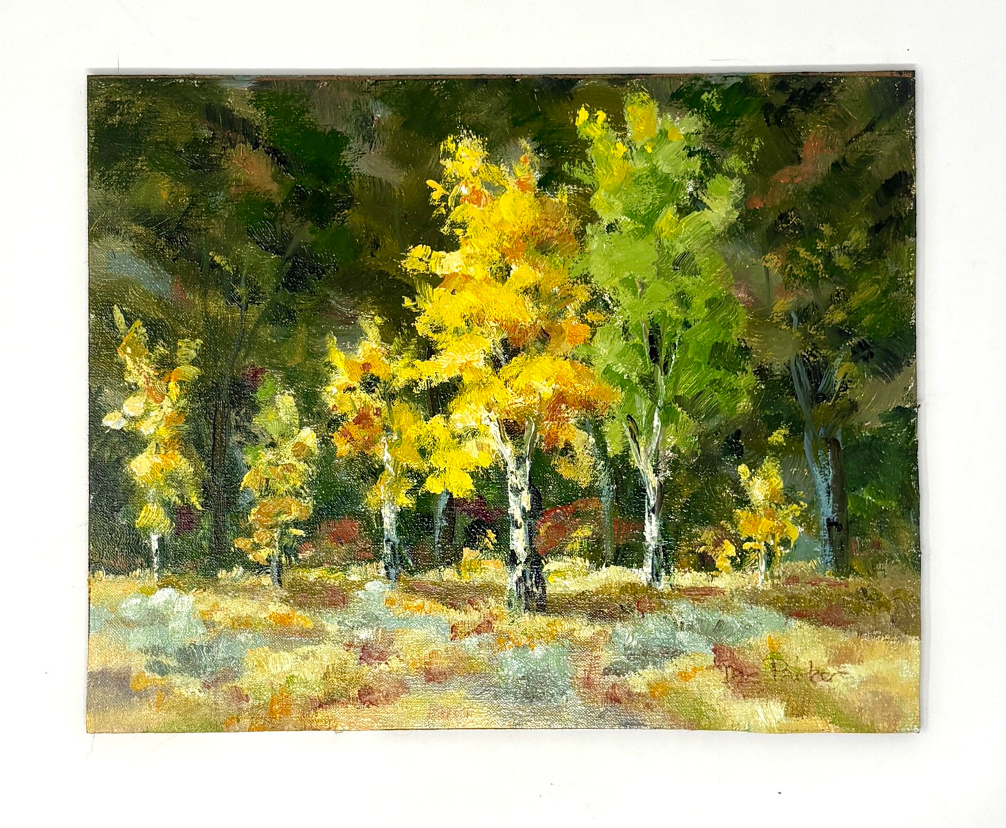 Dee Parker: Fall