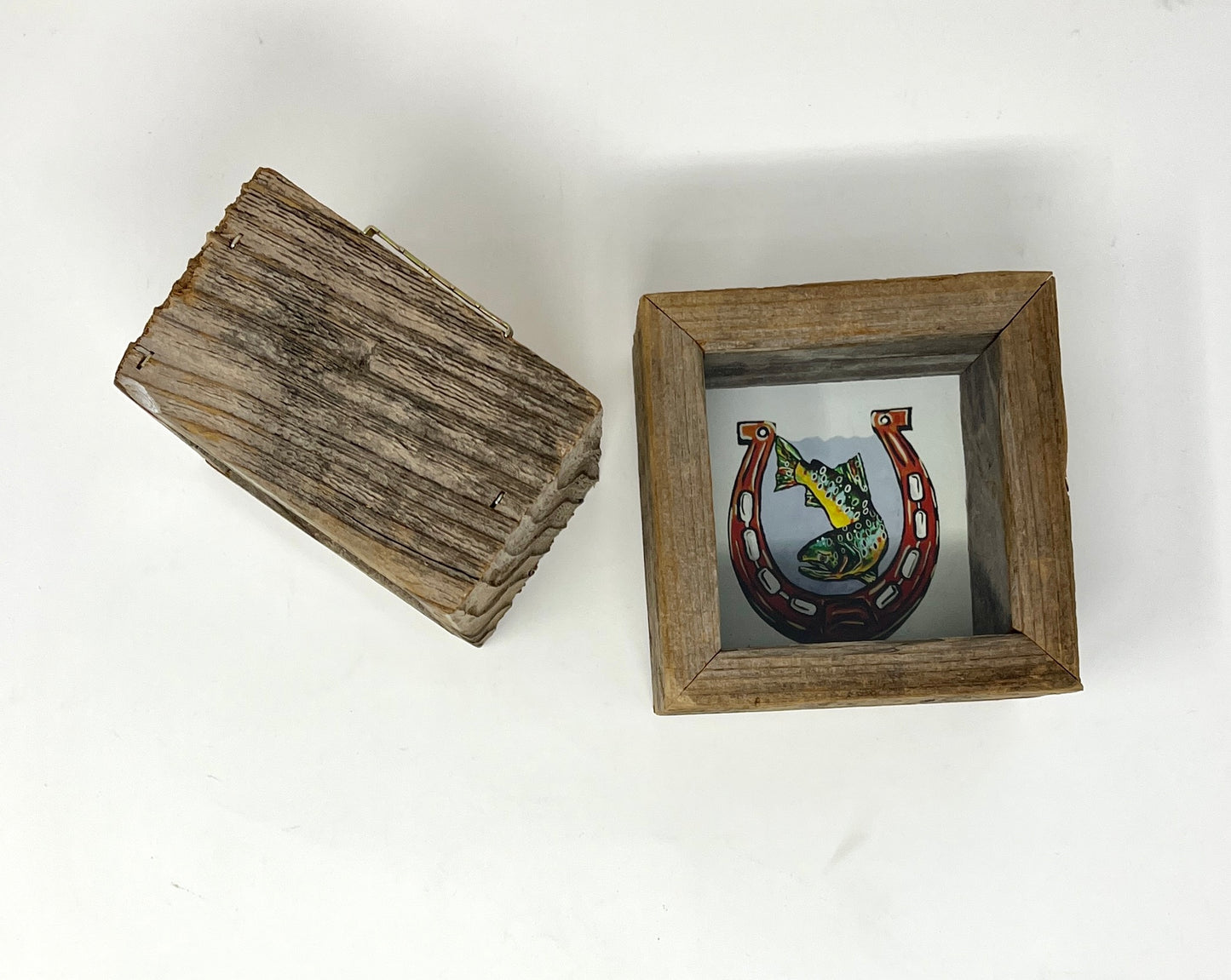 Abby Paffrath: Lucky Fish Square