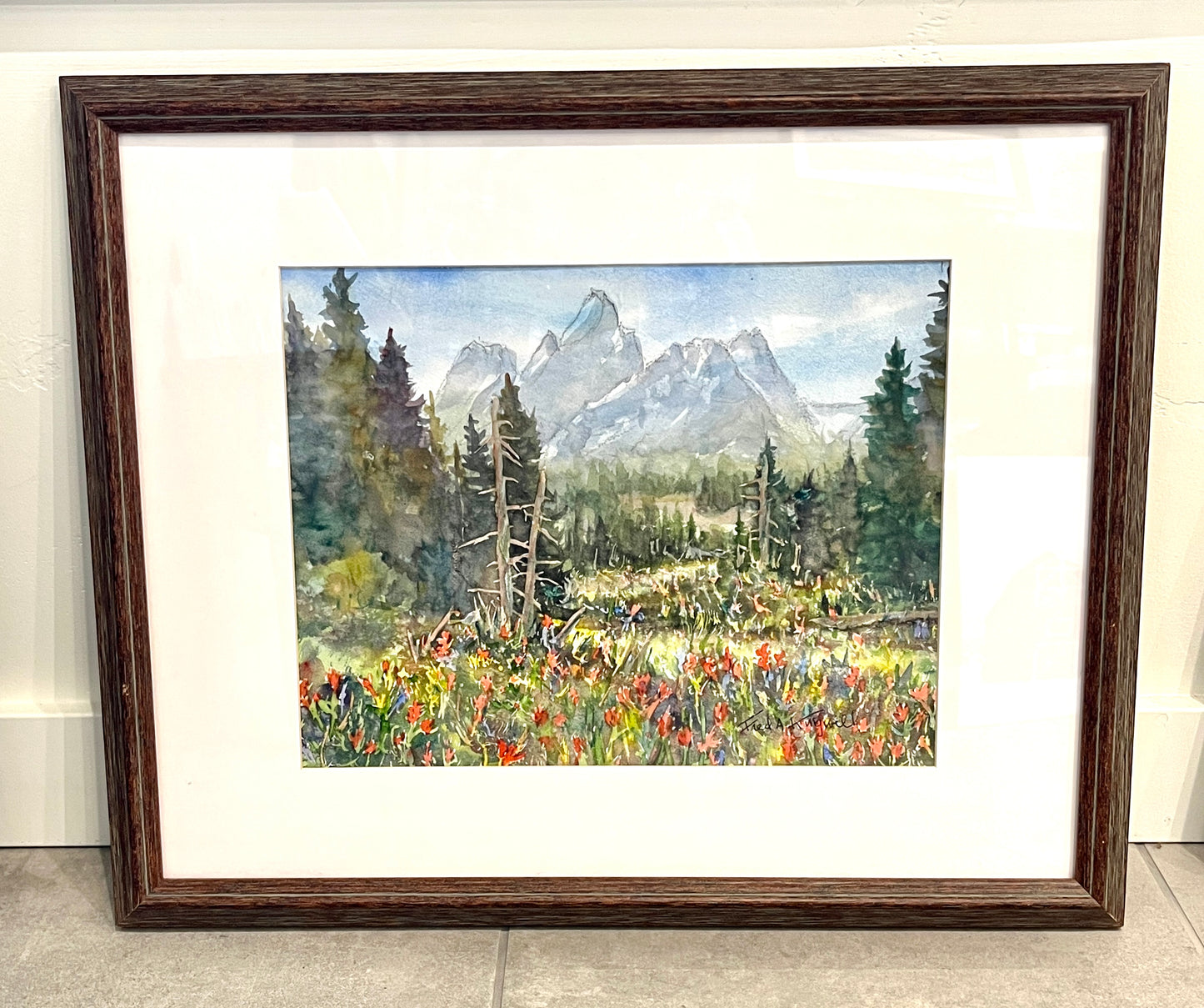 Fred Kingwill: Indian Paintbrush - Tetons