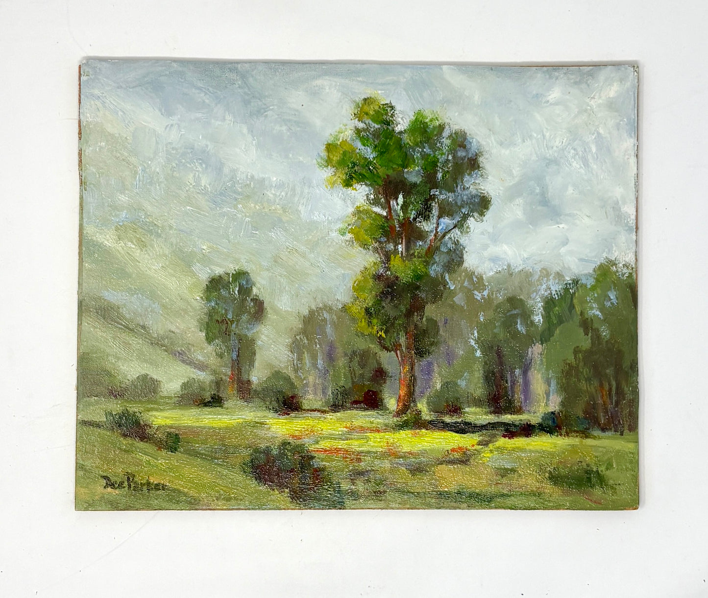 Dee Parker: Morning Mist
