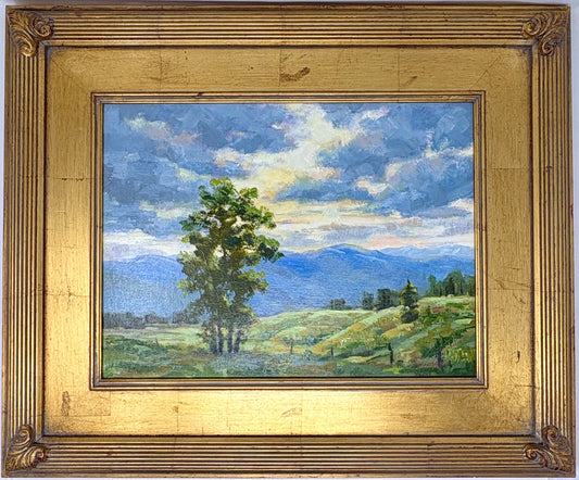 Dee Parker: Evening in South Park (Framed)