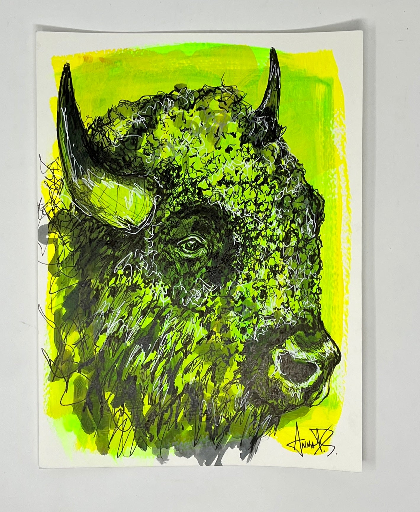 Anna Douglas Smith: Bison