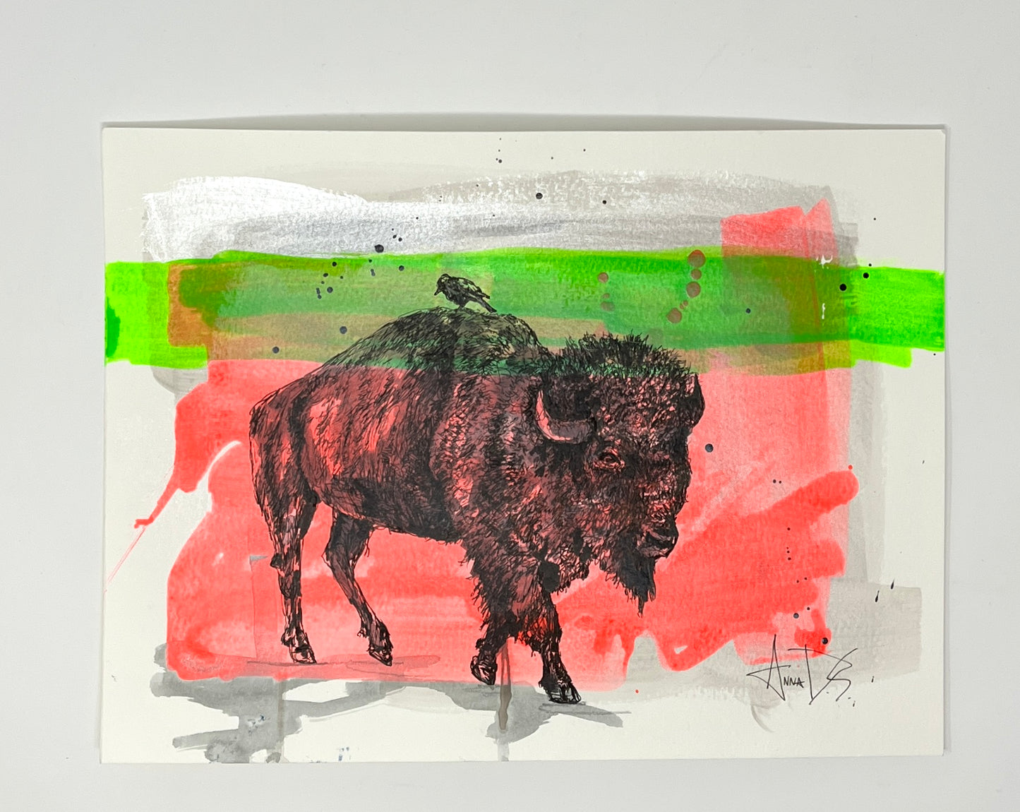Anna Douglas Smith: Bison + Magpie