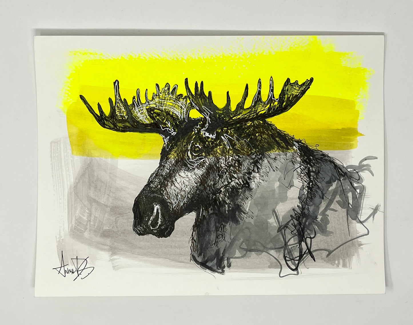 Anna Douglas Smith: Moose