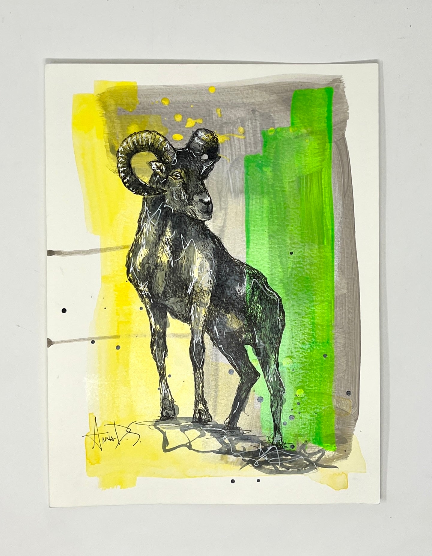 Anna Douglas Smith: Bighorn Sheep