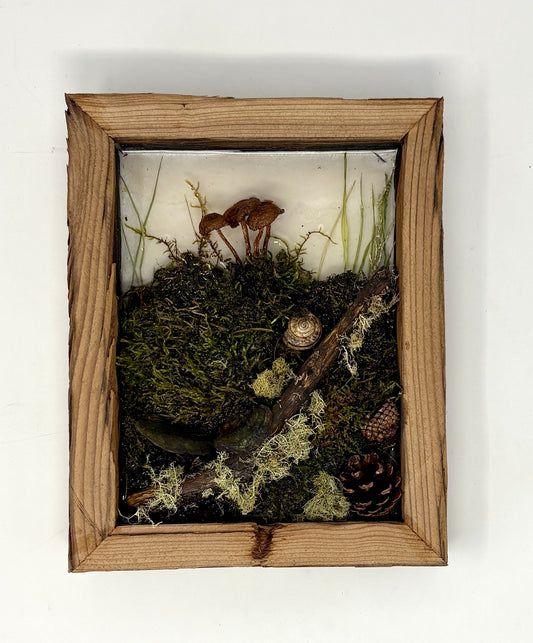 Julianna Lovasz: Mushroom Cluster Frame