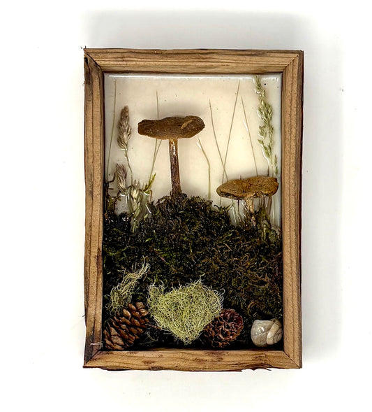 Julianna Lovasz: Mini Mushroom Frames