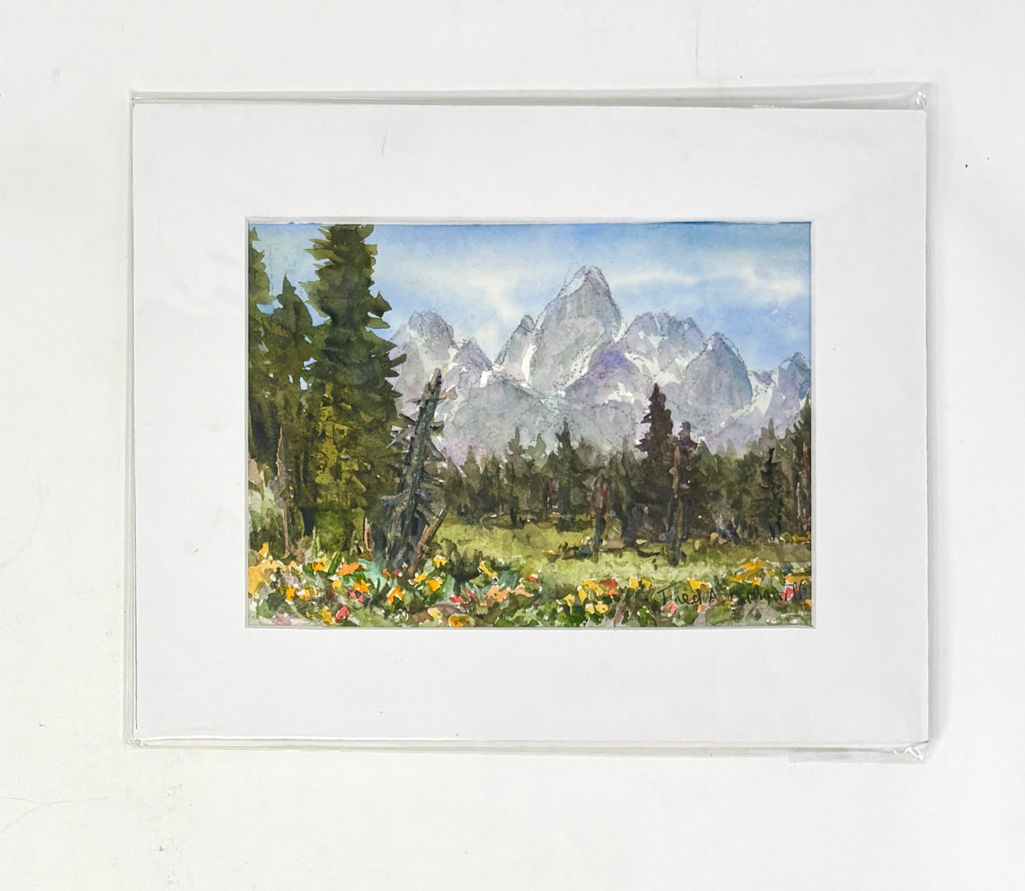 Fred Kingwill: Balsamroot Tetons