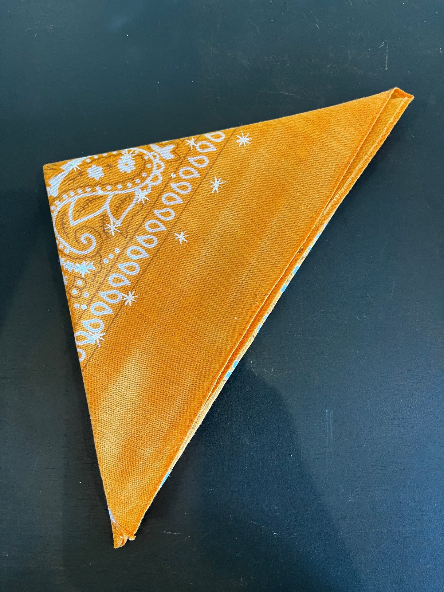 Lisa Walker: Bandana